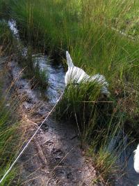 Klik op de foto voor groter formaat